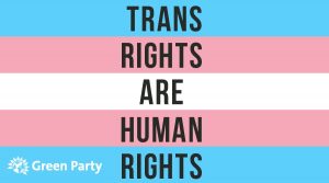 Trans Pride Flag (blue, pink & white stripes) with the words "Trans Rights Are Human Rights" in the centre plus the Green Party logo in the bottom left
